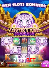 Benefícios da Conta 2877bet